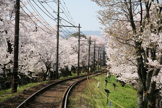 嵐電北野線 040.jpg