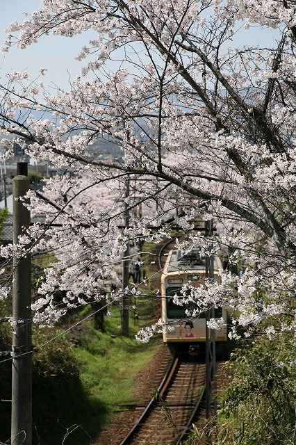 嵐電北野線 047.jpg