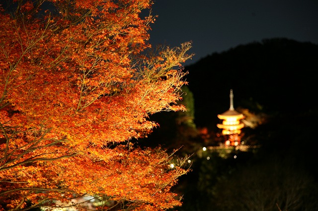 晩秋・清水寺・2013 019.jpg