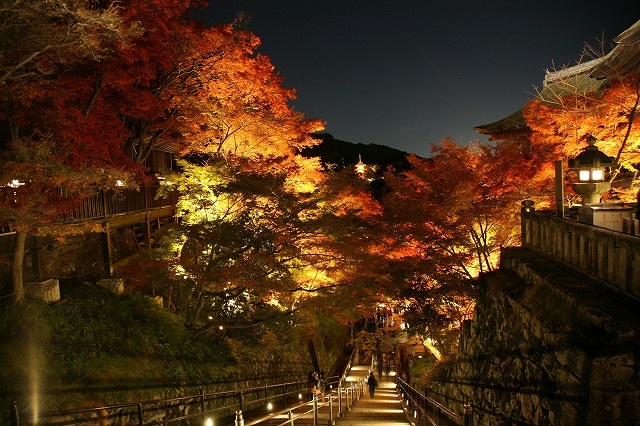 晩秋・清水寺・2013 026.jpg