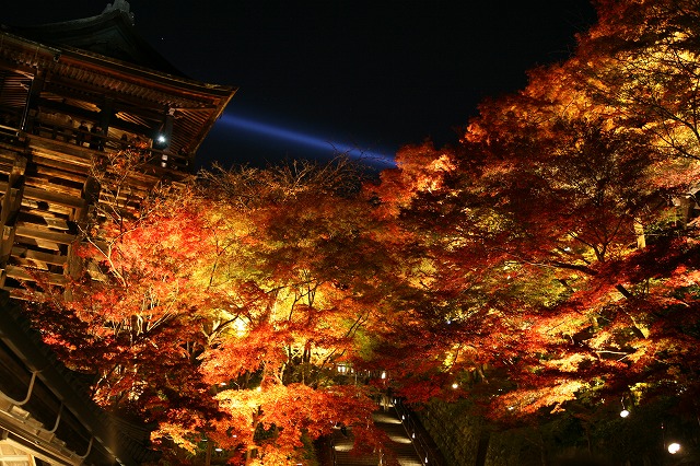 晩秋・清水寺・2013 043.jpg