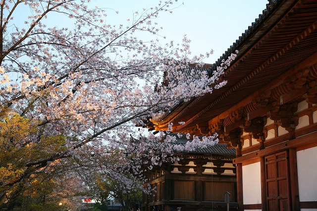 東寺　2014ライトアップ 036.jpg