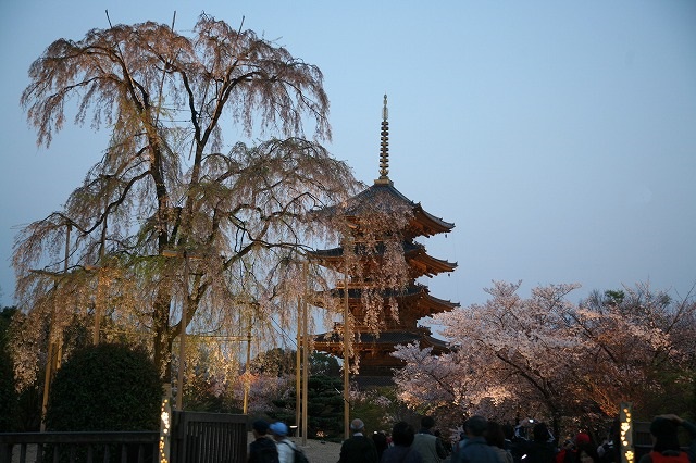 東寺　2014ライトアップ 042.jpg