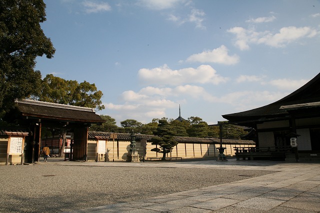 東寺・梅と河津桜 123.jpg