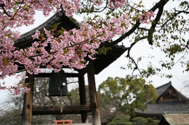 東寺Ｃａｎｏｎ 058.jpg