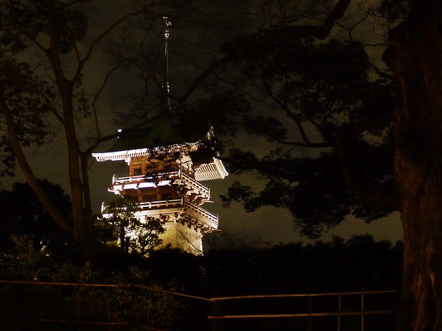 東山花灯路2012 107.jpg