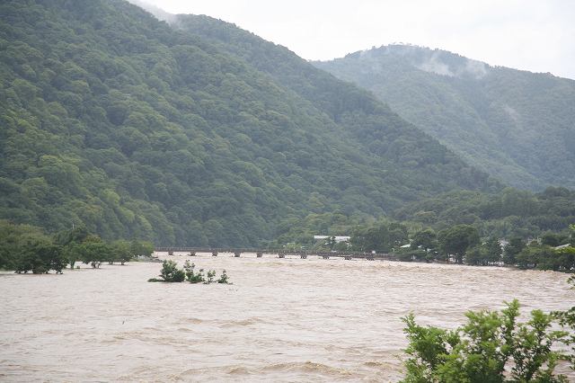 桂川･台風11 009.jpg