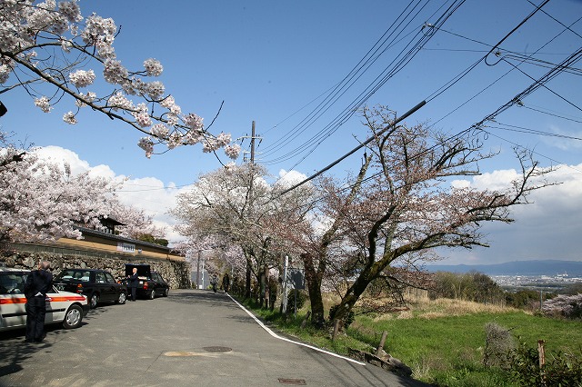 桜を巡る。 099.jpg