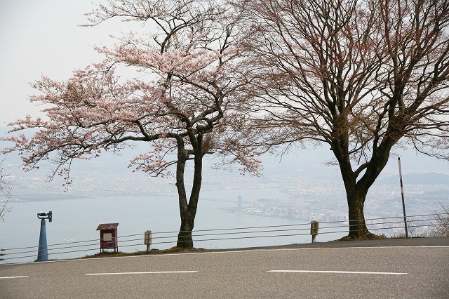 比叡山・桜・2014 041.jpg