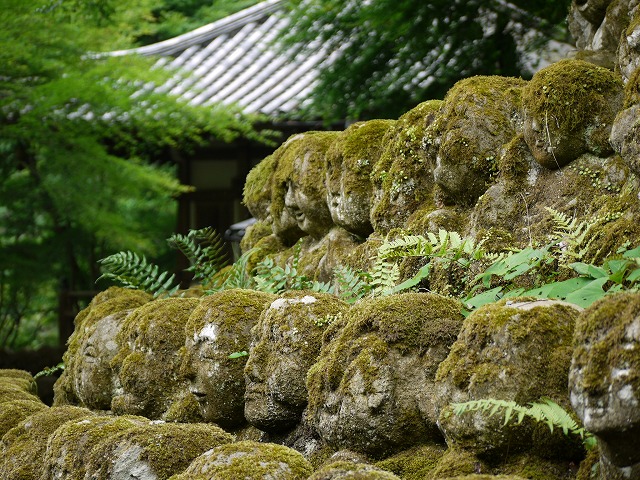 水無月の景色 039.jpg