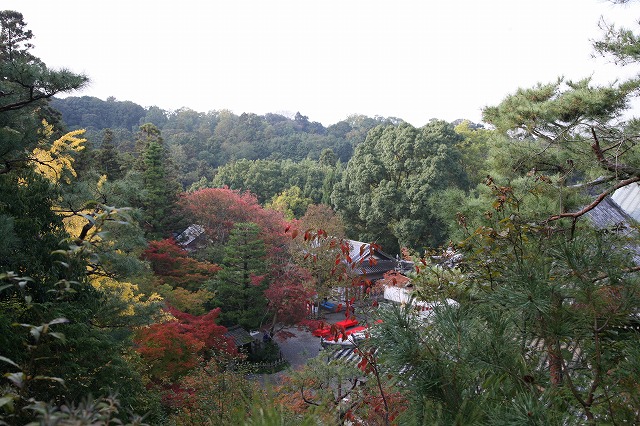 泉涌寺 014.jpg