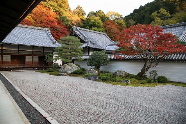 瑠璃　南禅寺 211.jpg