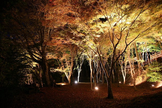 神護寺・紅葉 004.jpg