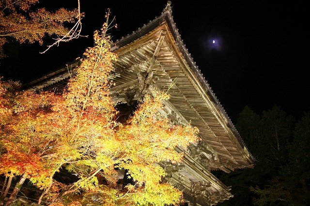 神護寺・紅葉 023.jpg