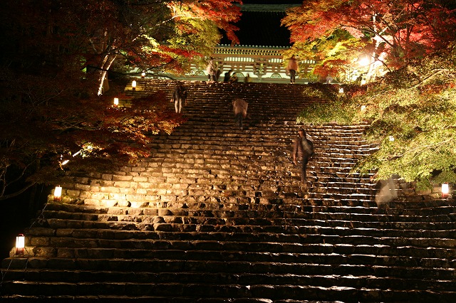 神護寺・紅葉 045.jpg