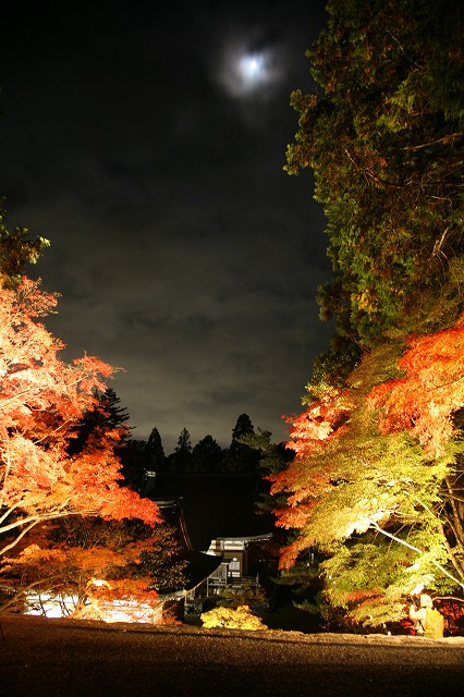 神護寺・紅葉 064.jpg