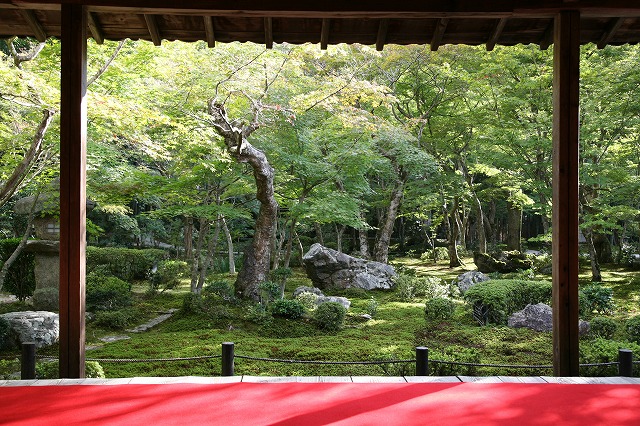 秋の寺院めぐり 067.jpg