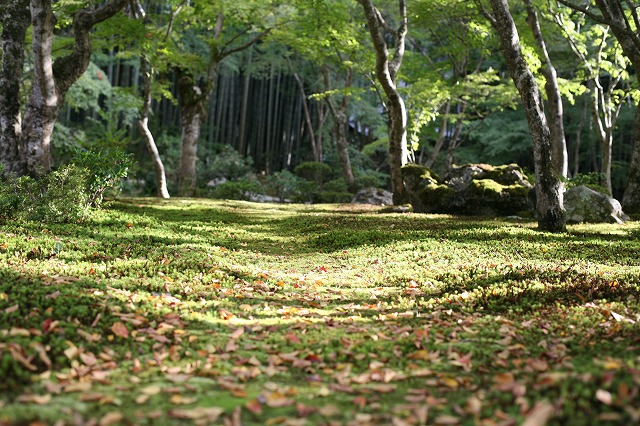 秋の寺院めぐり 093.jpg