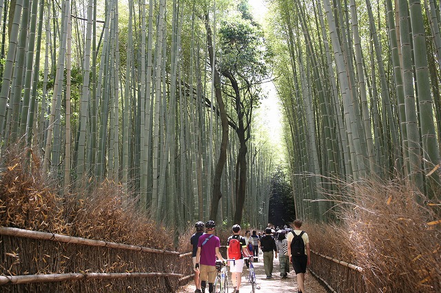 竹林・青もみじ。 008.jpg