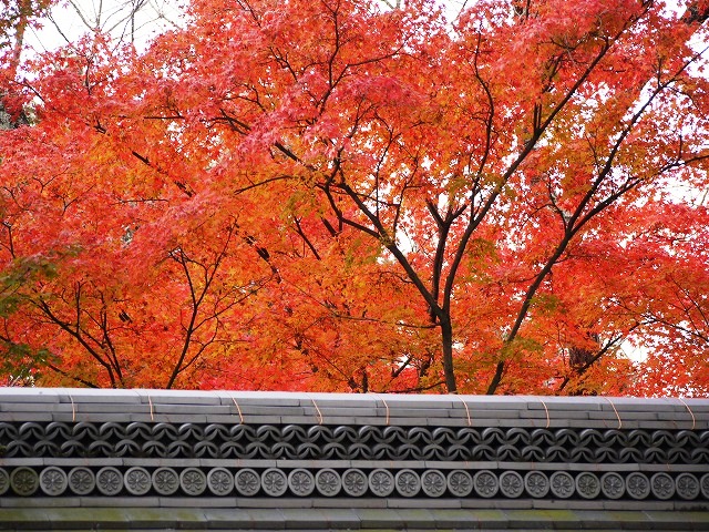 紅葉　２０１３ｌｕｍｉｘ 045.jpg