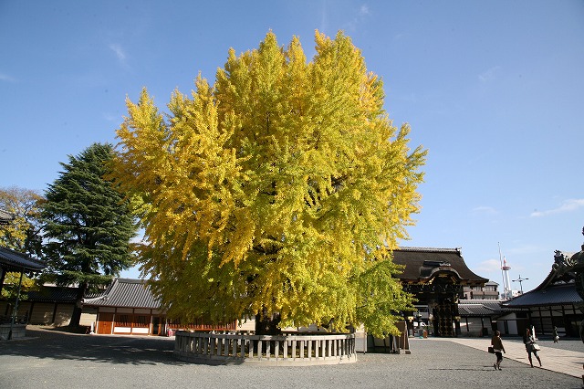 西本願寺　東寺 009.jpg