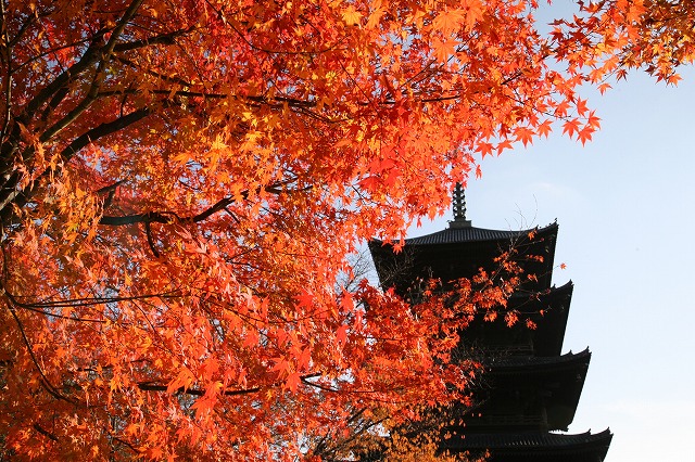 西本願寺　東寺 107.jpg