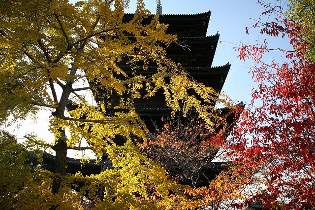 西本願寺　東寺 139.jpg