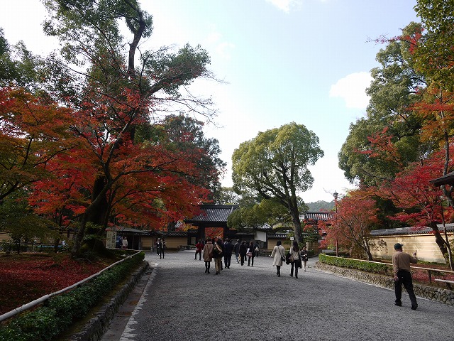 金閣寺 011.jpg