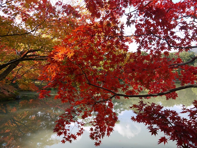 金閣寺 049.jpg