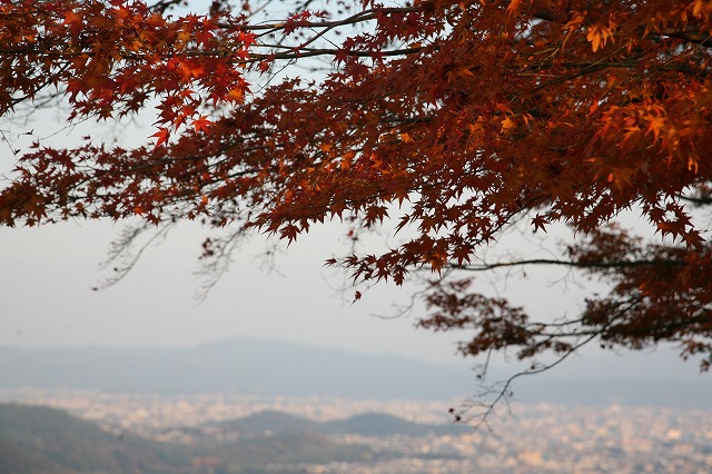 錦秋の時・2013 094.jpg