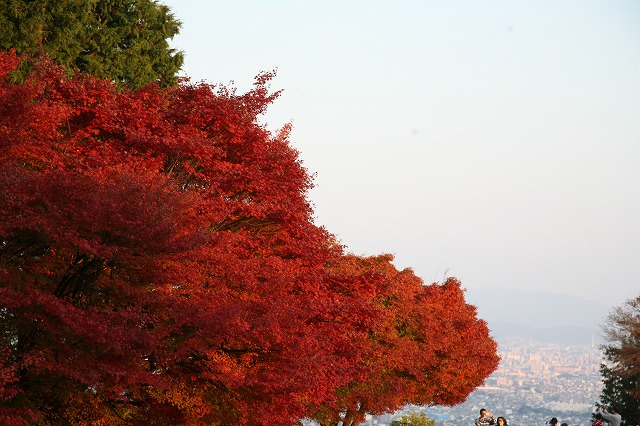 錦秋の時・2013 123.jpg