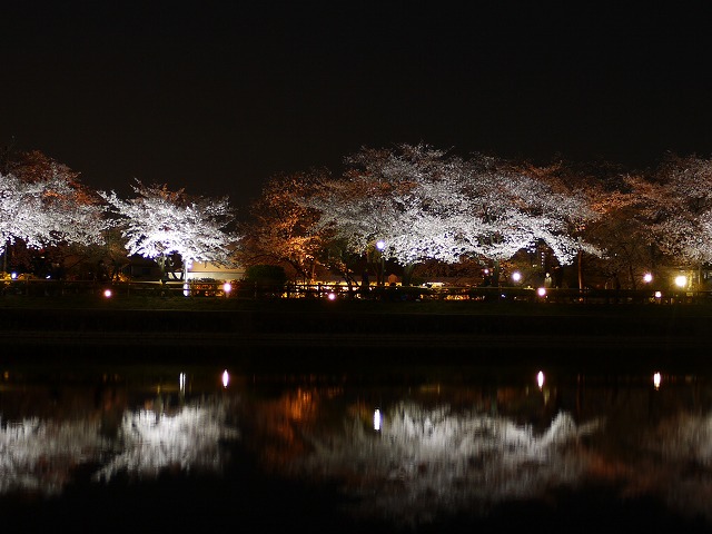 長岡天満宮 053.jpg