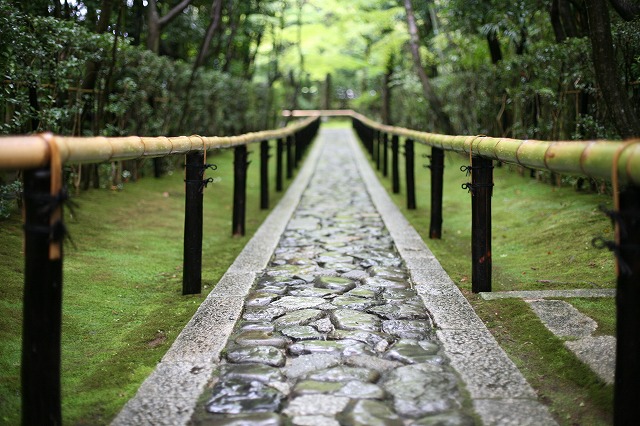 雨の高桐院 056.jpg