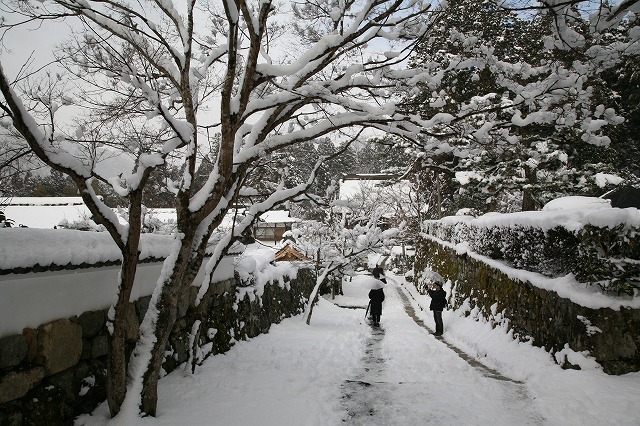 雪の大原 036.jpg