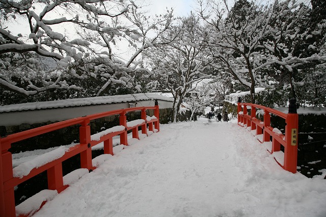 雪の大原 089.jpg