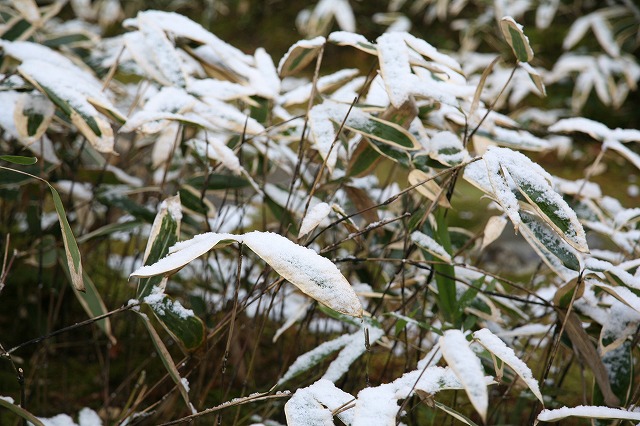 雪景色の寺院 053.jpg