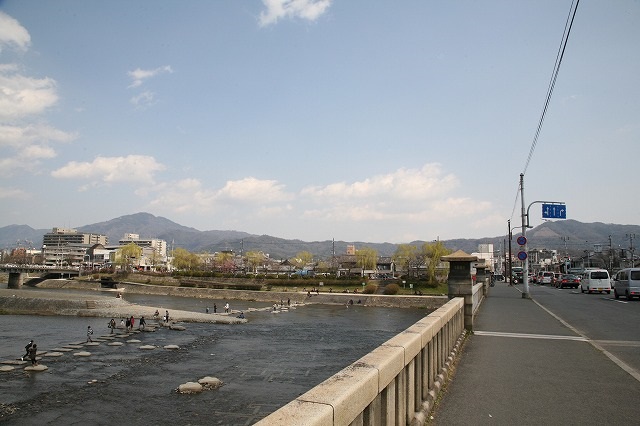 鴨川　おかめ桜 003.jpg