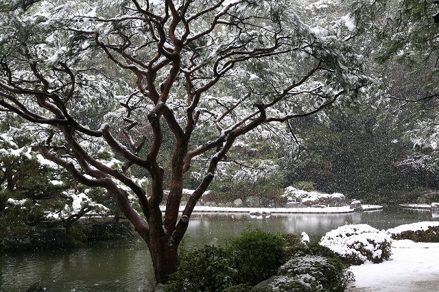 Ｆｅｂｒｕａｒｙ雪の寺院巡り。 020.jpg