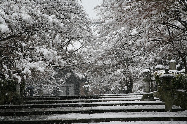 Ｆｅｂｒｕａｒｙ雪の寺院巡り。 082.jpg