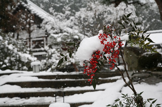 Ｆｅｂｒｕａｒｙ雪の寺院巡り。 117.jpg