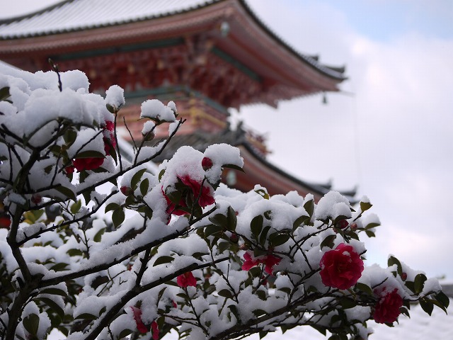 ＬＵＭＩＸ　雪 013.jpg