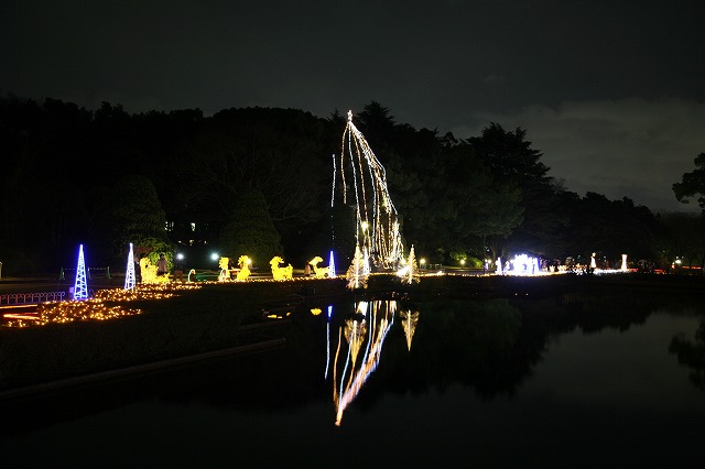 Ｘｍａｓ植物園 015.jpg