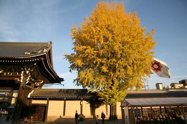 赤石禅院と西本願寺。 117