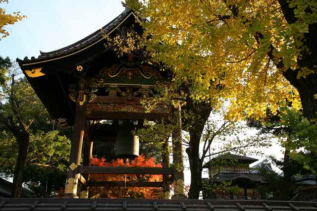 赤石禅院と西本願寺。 123