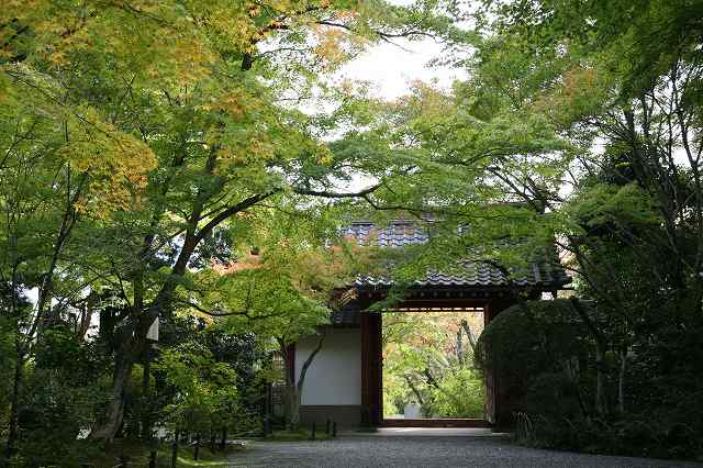 常照寺・2014秋 111