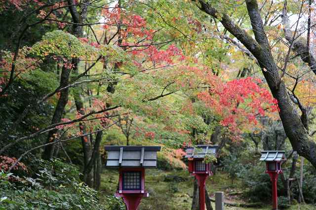 常照寺・2014秋 036