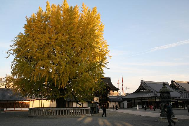 赤石禅院と西本願寺。 110