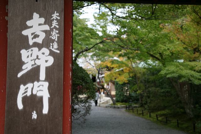 常照寺・2014秋 120