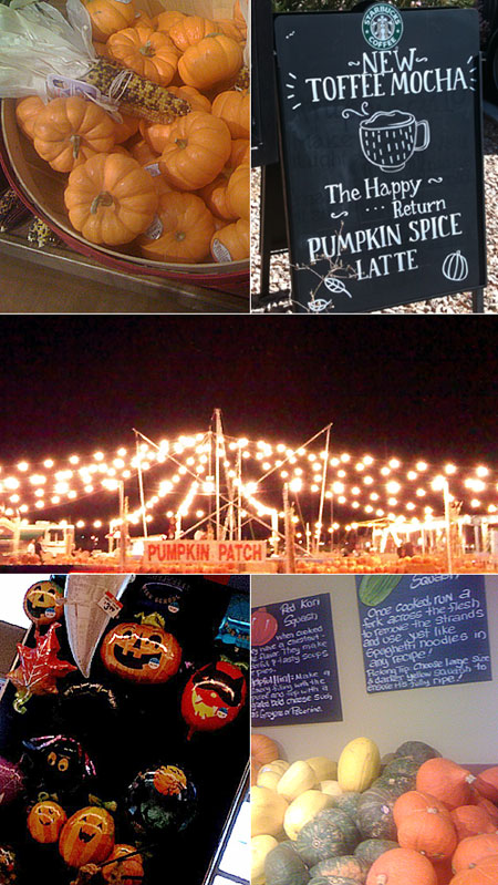pumpkin_1.jpg
