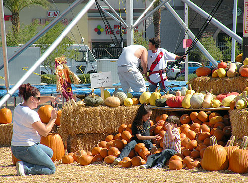 pumpkin_6.jpg